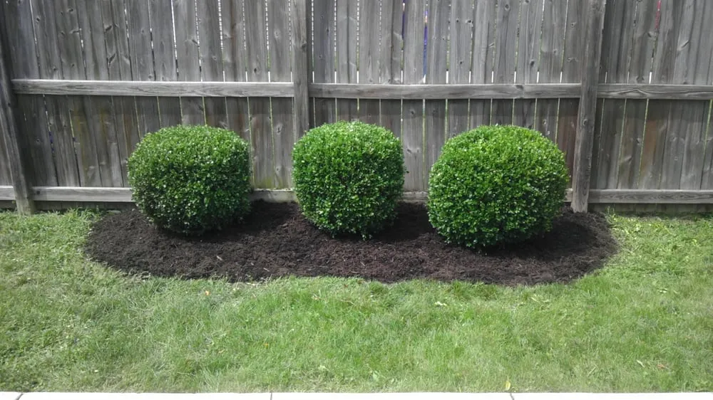 Reliable landscape installation experts serving Centerville, OH - Mow Dayton