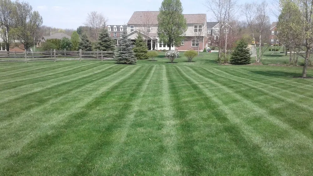 Affordable yard cleanup service experts serving Centerville, OH - Mow Dayton