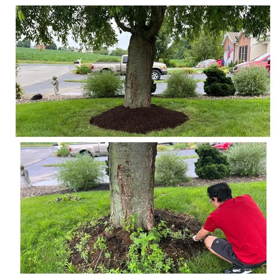 Professional landscaping services for beautiful yards across Shippensburg, PA - Mow-Delo Lawn Care