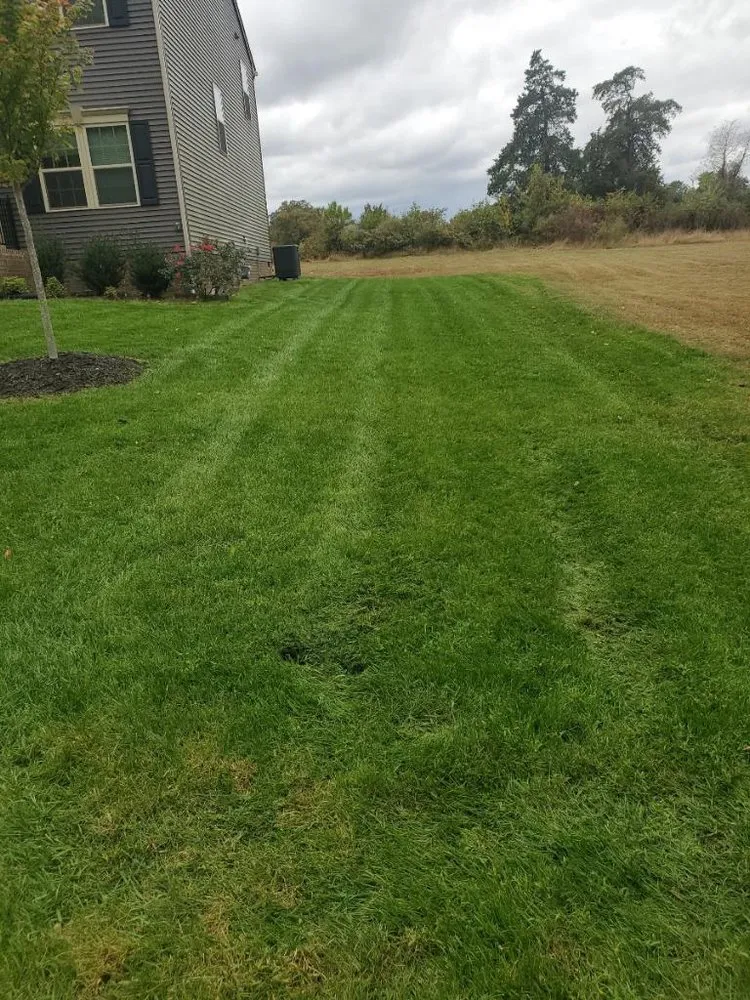 Reliable lawn mowing service with custom design in Hopewell, VA by Mow Diggs
