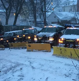 Reliable landscaping services in Belmont, MA by Mow Dog Landscaping