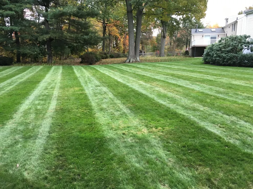 Local lawn care service in Belmont, MA by Mow Dog Landscaping