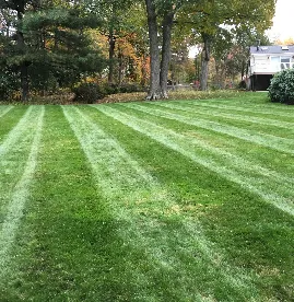 Custom landscape installation for outdoor upgrades in Belmont, MA by Mow Dog Landscaping