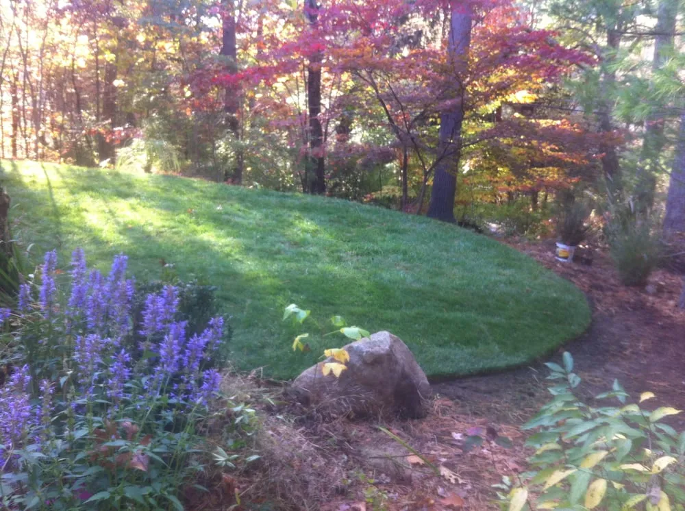 Local landscaping services with custom design in Belmont, MA by Mow Dog Landscaping