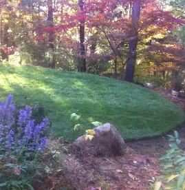 Custom lawn care service in Belmont, MA by Mow Dog Landscaping