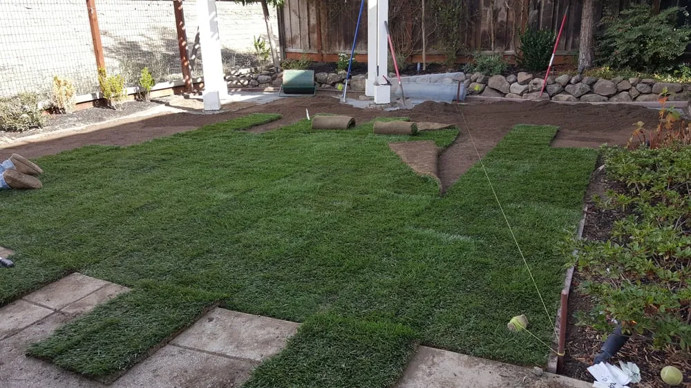 Custom lawn mowing service experts serving Charlotte, NC - Mow Dog Lawn & Landscape