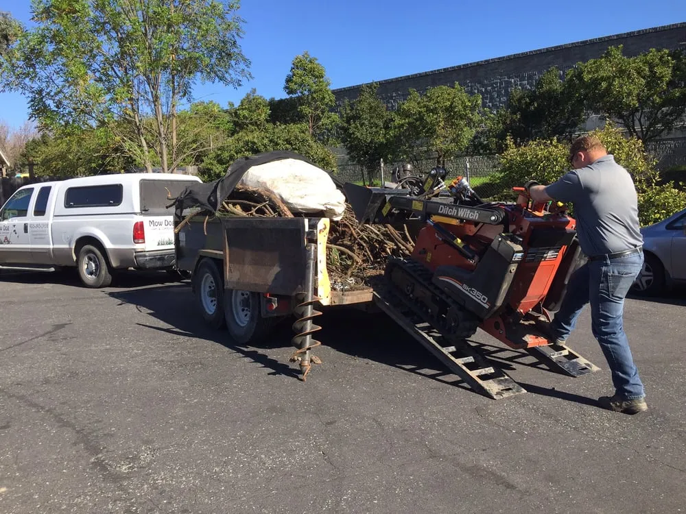 Custom lawn mowing service in Charlotte, NC by Mow Dog Lawn & Landscape