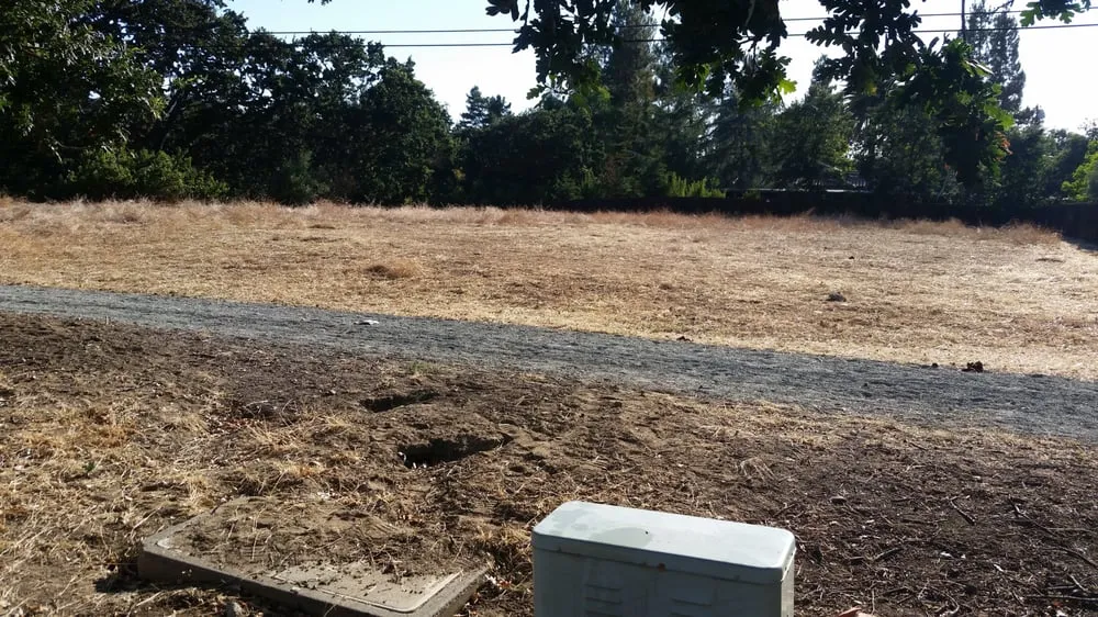 Reliable residential landscaping in Charlotte, NC - Mow Dog Lawn & Landscape