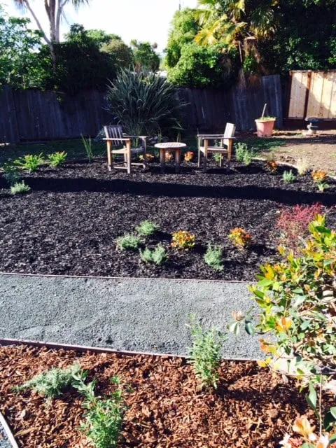 Expert lawn care service experts serving Charlotte, NC - Mow Dog Lawn & Landscape