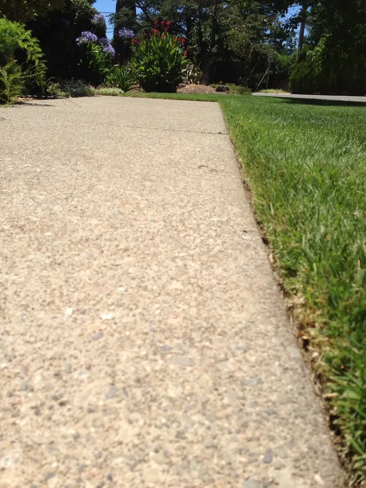 Reliable yard cleanup service for year-round maintenance in Charlotte, NC by Mow Dog Lawn & Landscape