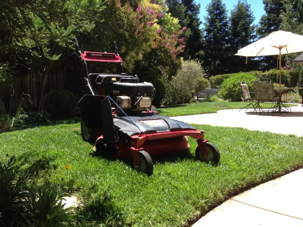 Top-rated garden landscaping in Charlotte, NC by Mow Dog Lawn & Landscape