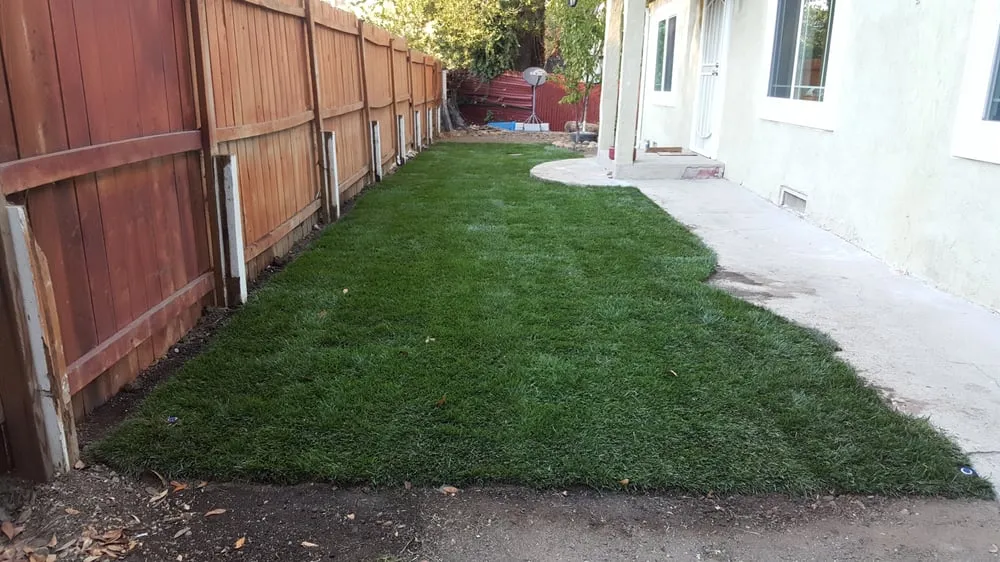 Trusted landscape installation for residential properties in Charlotte, NC by Mow Dog Lawn & Landscape