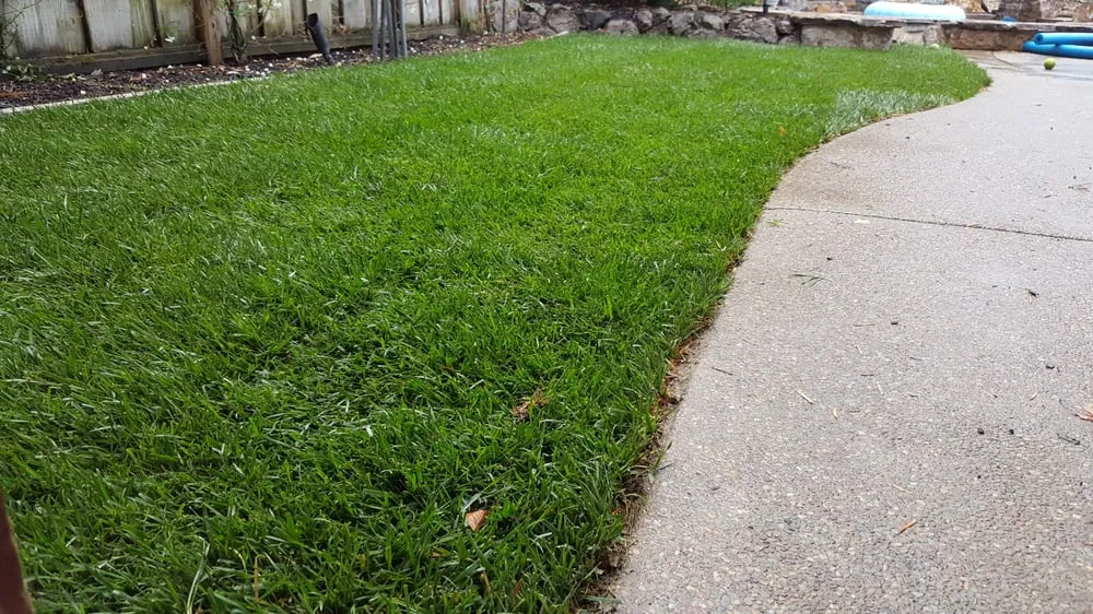 Local landscape design for homes in Charlotte, NC by Mow Dog Lawn & Landscape