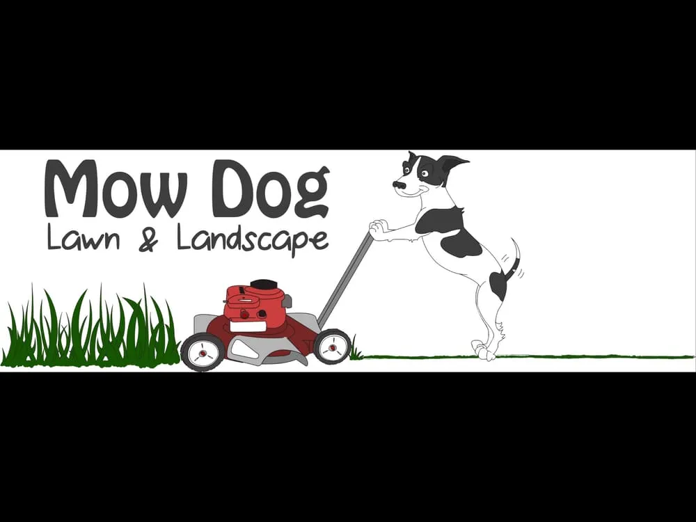 Professional outdoor landscaping in Charlotte, NC by Mow Dog Lawn & Landscape