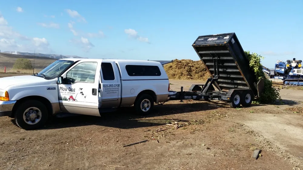Custom landscape installation in Charlotte, NC - Mow Dog Lawn & Landscape