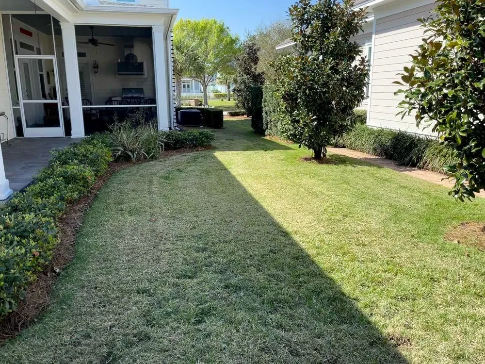 Top-rated yard cleanup service for homes across Winter Garden, FL - Mow Eco Friendly