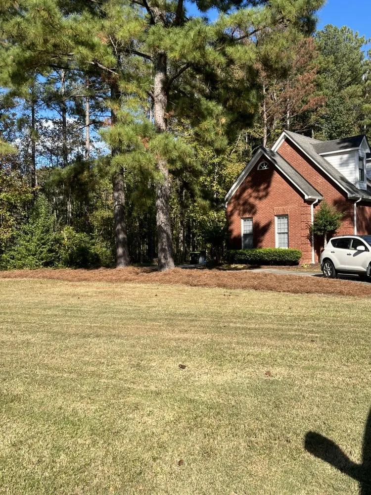 Affordable landscape design experts serving Riverdale, GA - Mow Goatz Lawn Service
