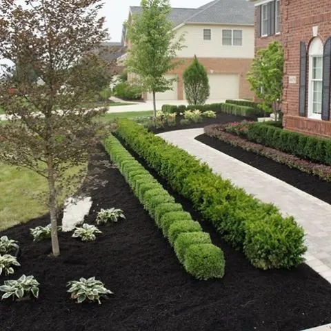 Trusted lawn care service near you across Edgecliff Village, TX - Mow Green Landscaping