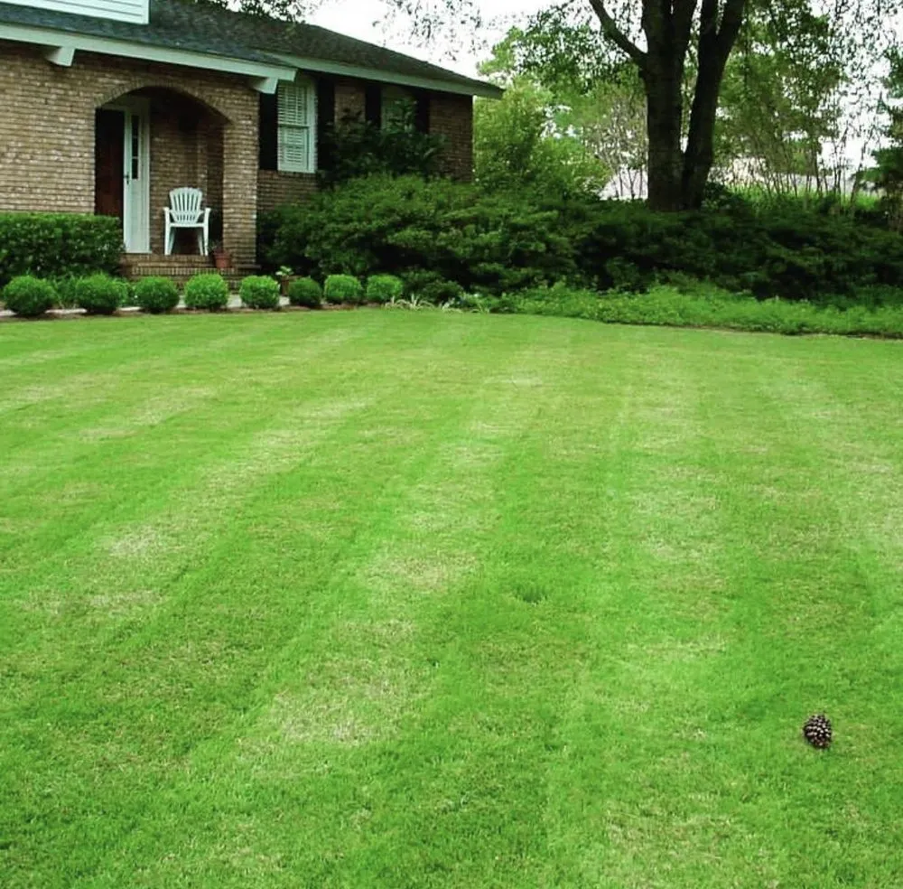 Affordable yard cleanup service experts serving Edgecliff Village, TX - Mow Green Landscaping