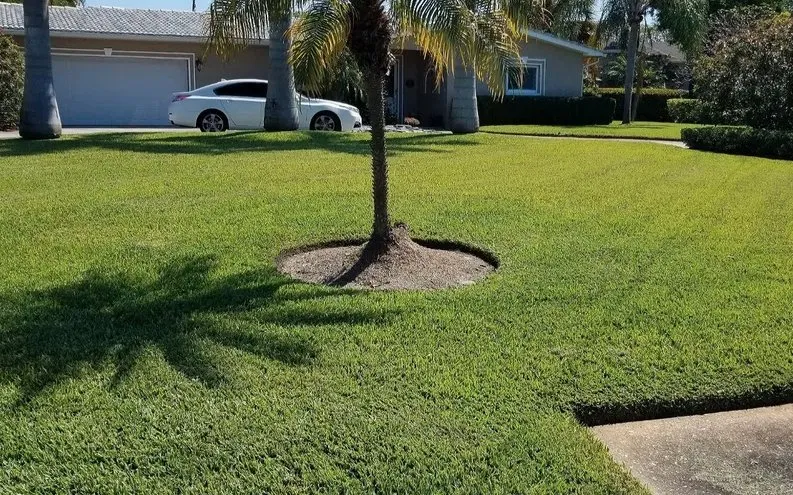 Local residential landscaping in St. Pete Beach, FL by Mow Green Lawn Care and Landscaping