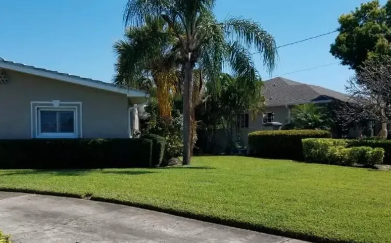 Custom yard maintenance in St. Pete Beach, FL - Mow Green Lawn Care and Landscaping