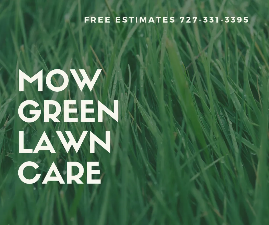 Trusted yard maintenance in St. Pete Beach, FL by Mow Green Lawn Care and Landscaping