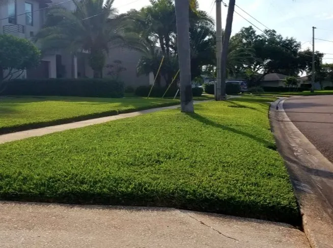 Affordable garden landscaping in St. Pete Beach, FL by Mow Green Lawn Care and Landscaping