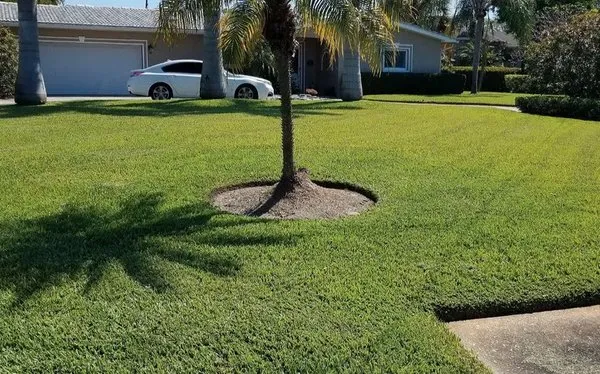 Mow Green Lawn Care and Landscaping Logo