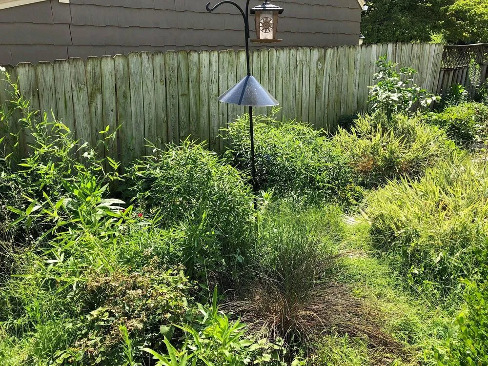 Trusted landscape installation in Navarre, FL - Mow Green Lawn Care