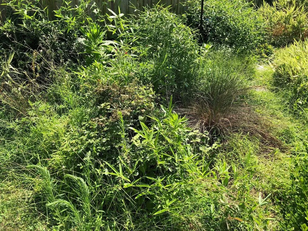 Reliable outdoor landscaping in Navarre, FL - Mow Green Lawn Care