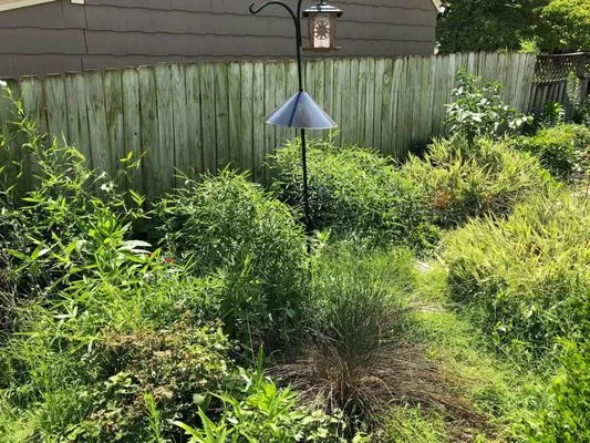 Mow Green Lawn Care Logo