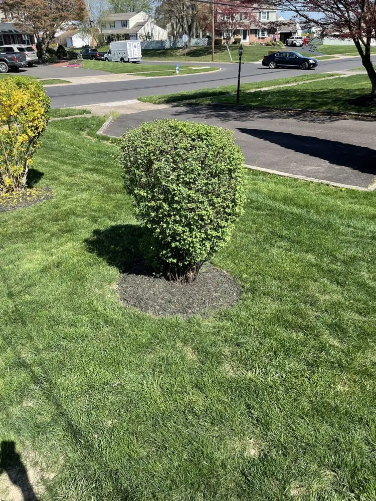 Expert outdoor landscaping with custom design across Bensalem, PA - Mow Green Lawn Service
