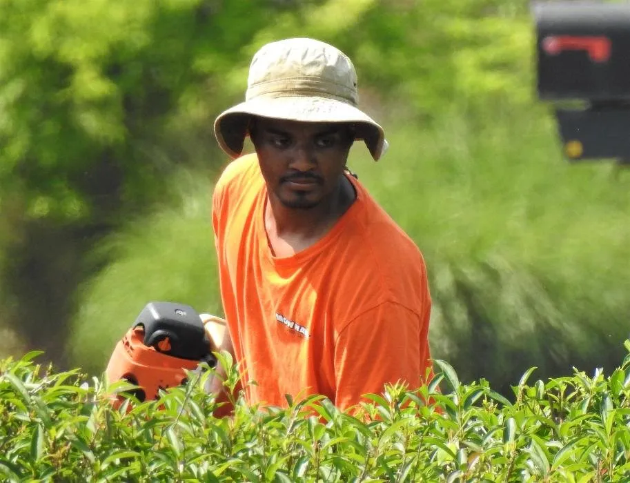 Professional landscape installation in Huntsville, AL by Mow Hawk Lawn Care