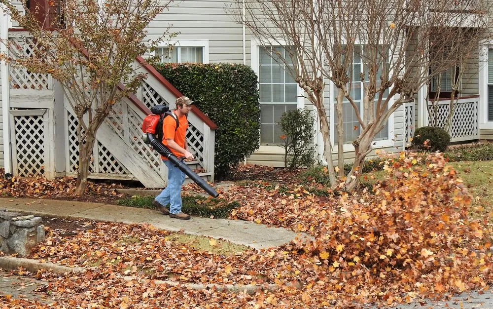 Expert lawn care service in Huntsville, AL - Mow Hawk Lawn Care