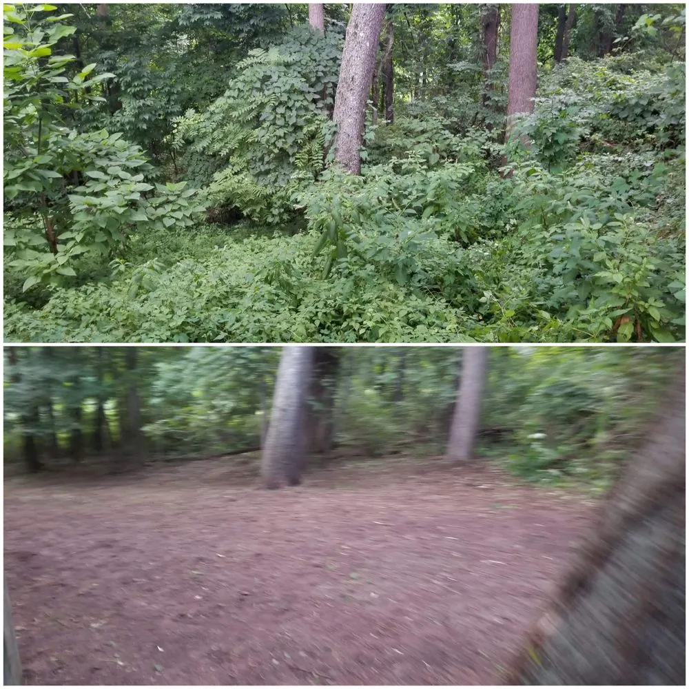 Affordable landscape installation in Mishawaka, IN - Mow Hoe 'N Blow