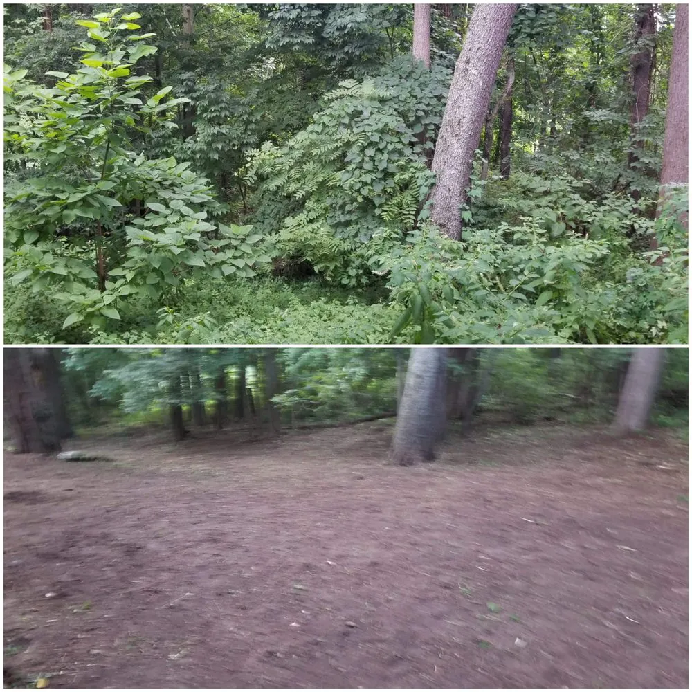 Trusted residential landscaping in Mishawaka, IN by Mow Hoe 'N Blow