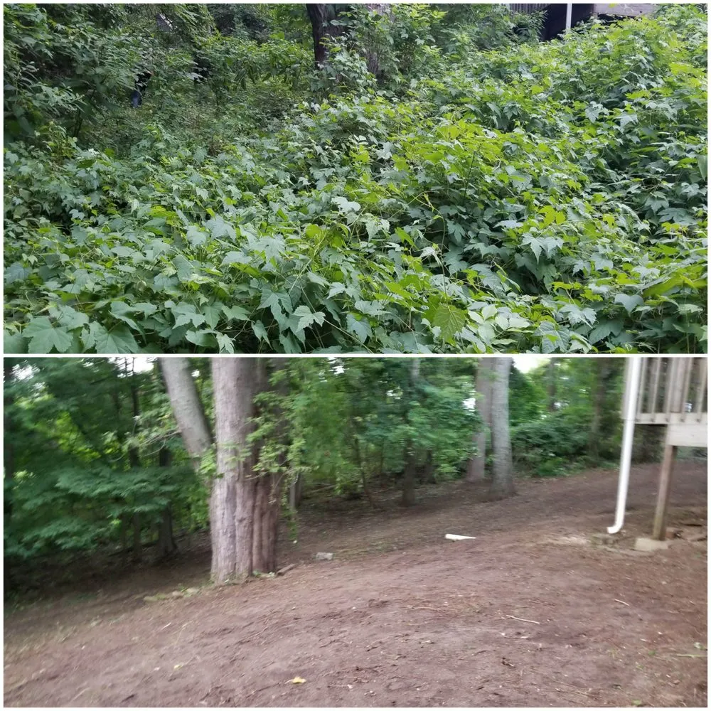 Affordable yard cleanup service for homes in Mishawaka, IN by Mow Hoe 'N Blow