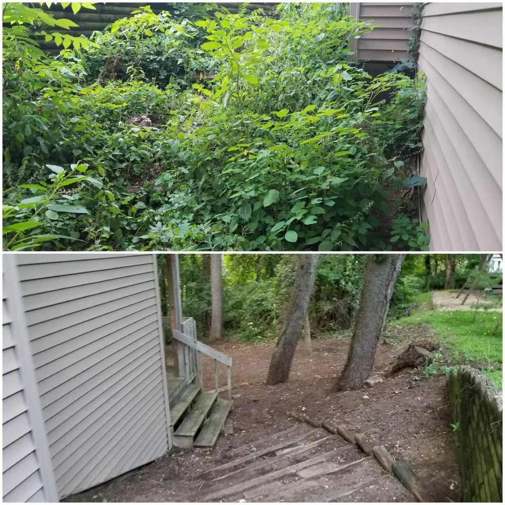 Local landscape design for outdoor upgrades across Mishawaka, IN - Mow Hoe 'N Blow