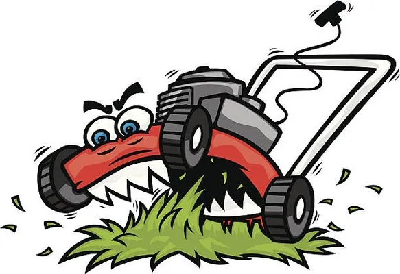 Mow It All lawn care Logo