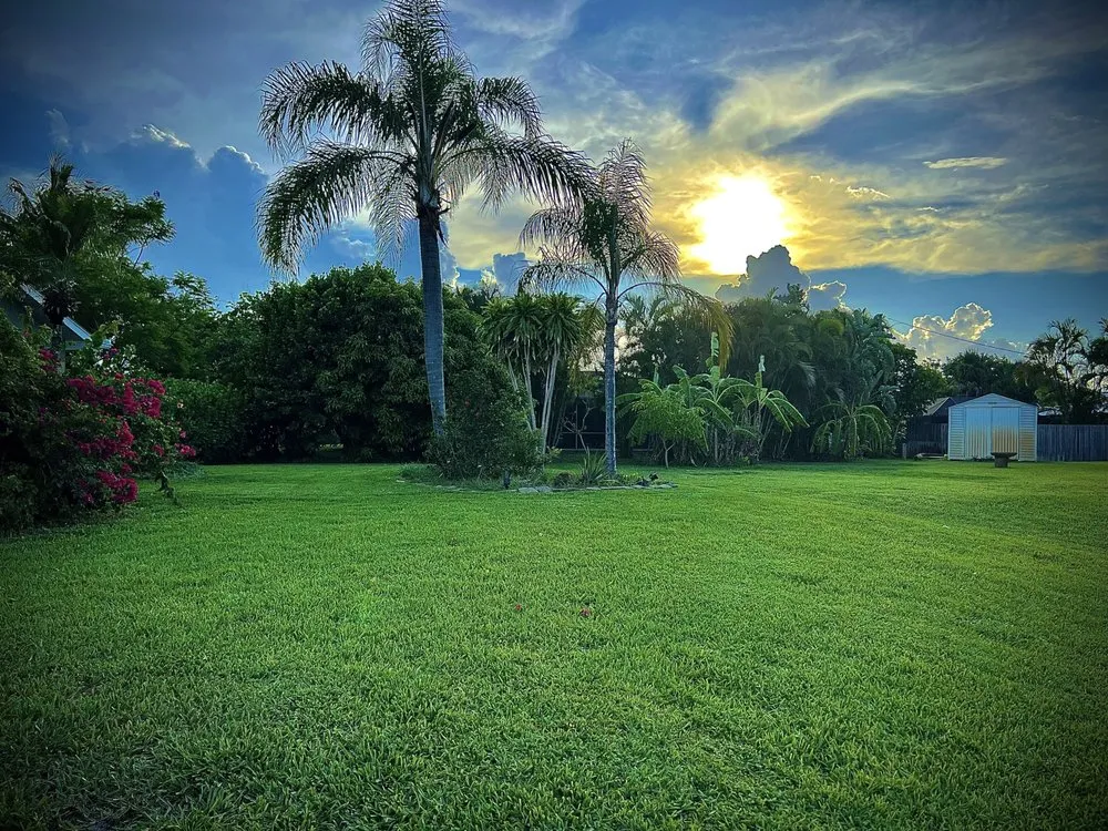 Custom landscaping services in Port St. Lucie, FL - Mow It All Lawn Services