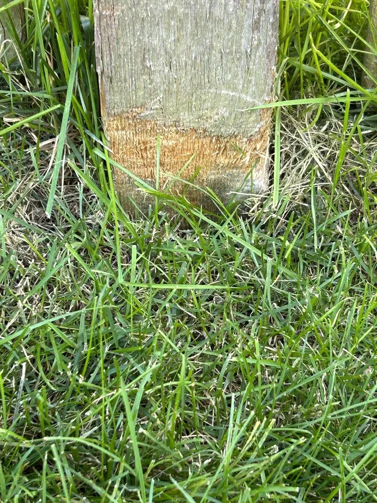 Custom outdoor landscaping experts serving Naperville, IL - Mow It All