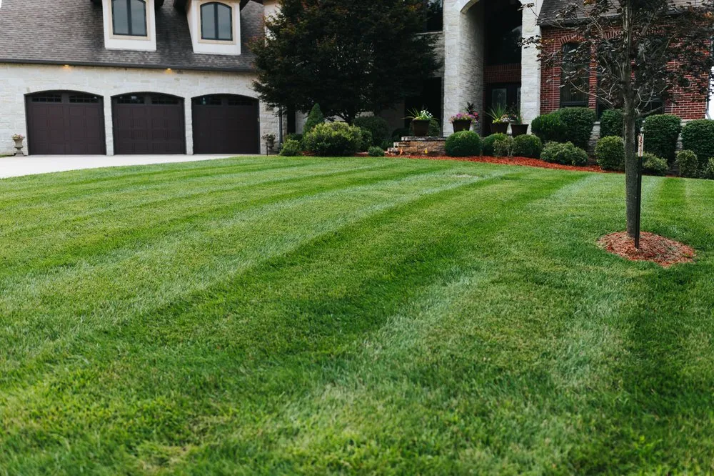 Top-rated yard maintenance for beautiful yards across Columbia, MO - Mow-It-Alls
