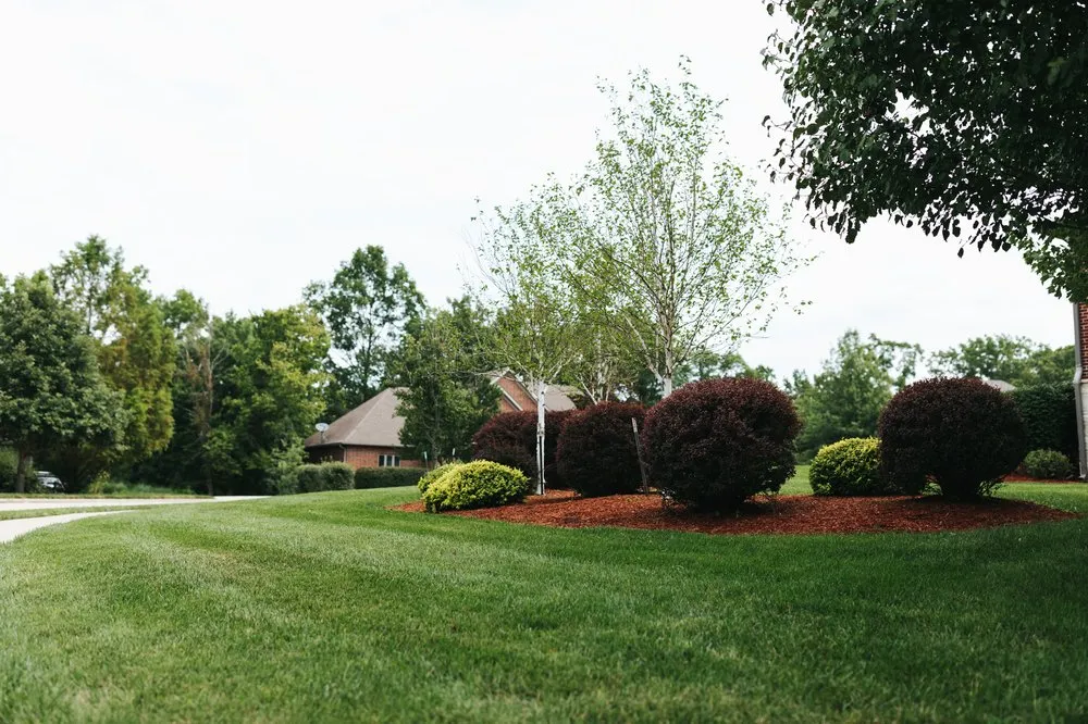 Expert yard maintenance in Columbia, MO by Mow-It-Alls