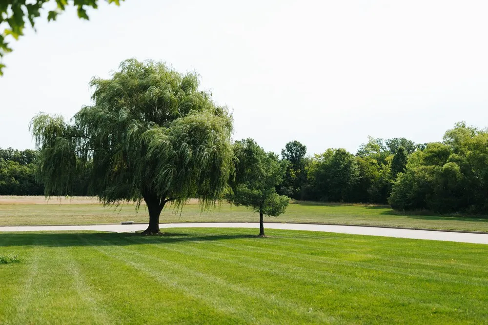 Local yard maintenance in Columbia, MO by Mow-It-Alls