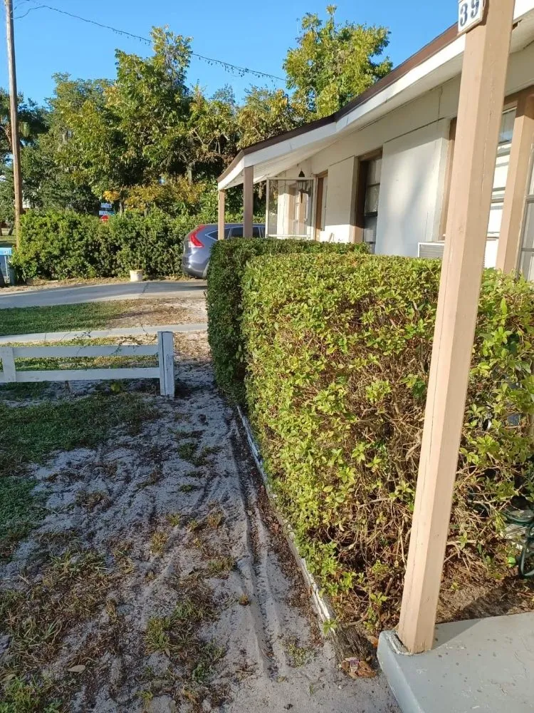 Custom garden landscaping near you across Cocoa, FL - Mow It Brevard