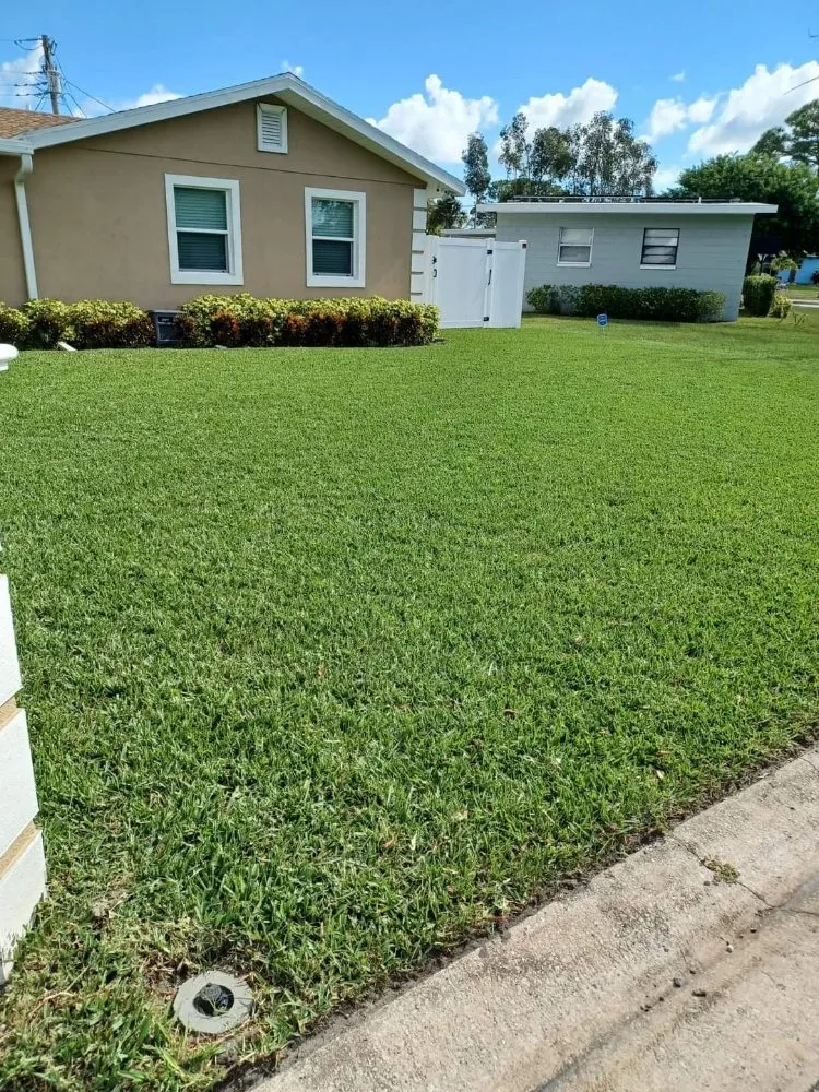 Affordable outdoor landscaping experts serving Cocoa, FL - Mow It Brevard