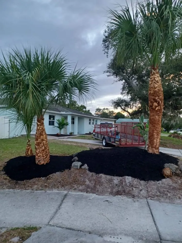 Trusted lawn care service experts serving Cocoa, FL - Mow It Brevard