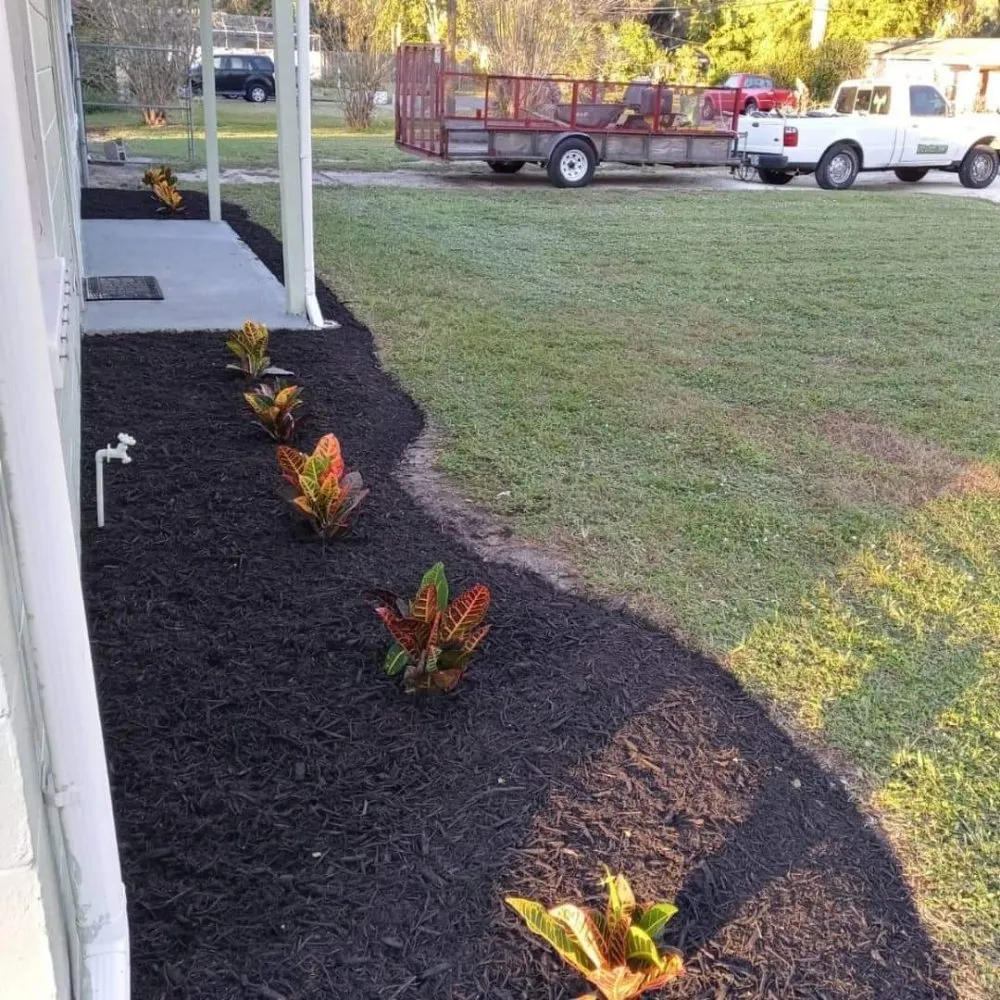 Local residential landscaping for year-round maintenance across Cocoa, FL - Mow It Brevard