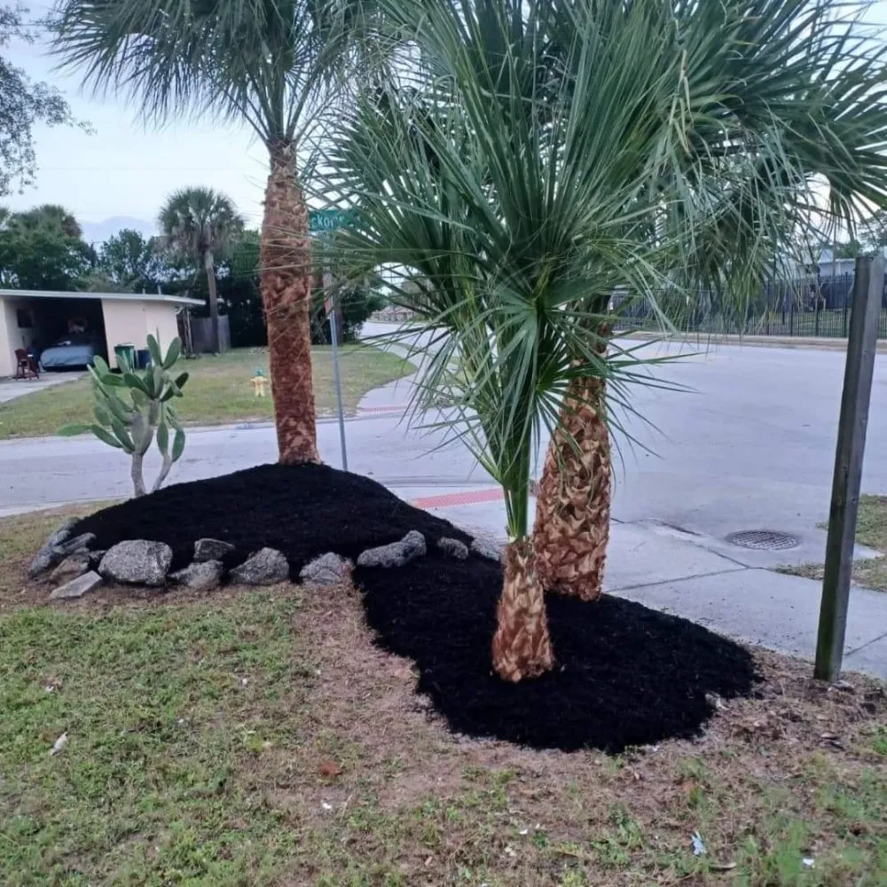 Professional lawn mowing service in Cocoa, FL by Mow It Brevard