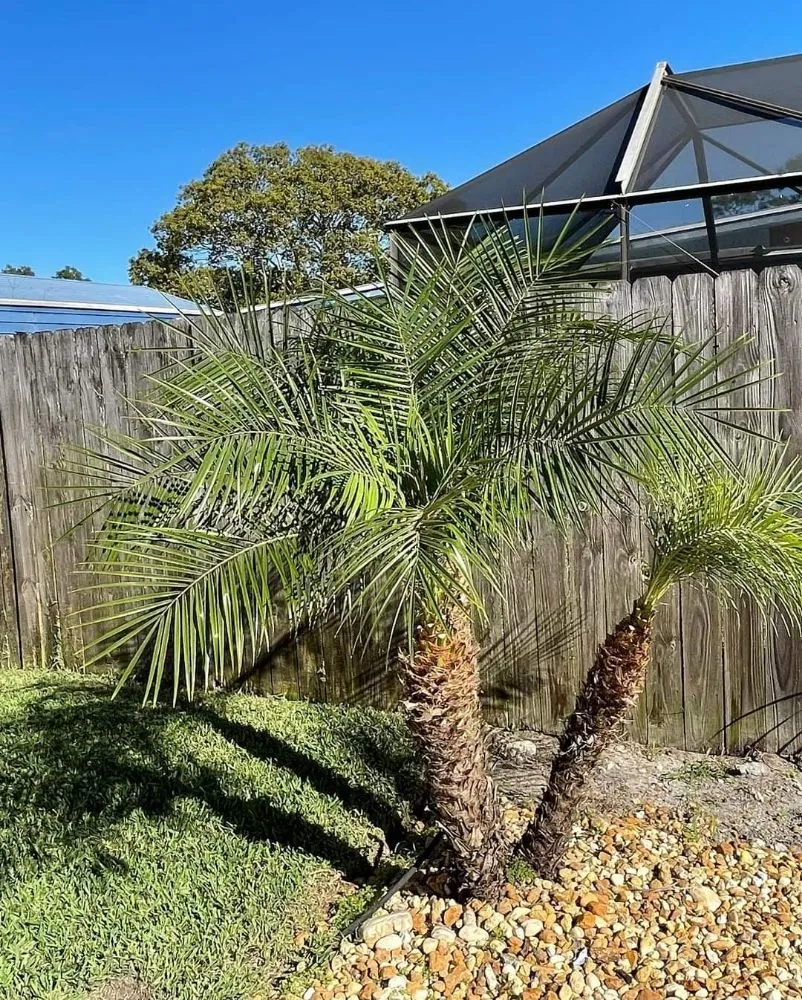 Custom outdoor landscaping near you in Cocoa, FL by Mow It Brevard